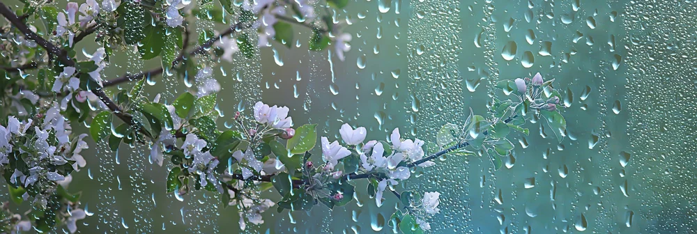 vremea-continua-sa-se-raceasca.-ploi,-vant-si-risc-de-bruma-in-mai-multe-zone-din-tara