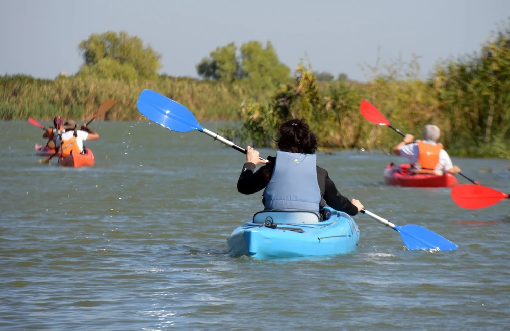 unde-se-petrece-in-tara-de-1-mai-si-la-ce-preturi.-vom-vedea-o-noua-energie-anul-acesta-in-vama