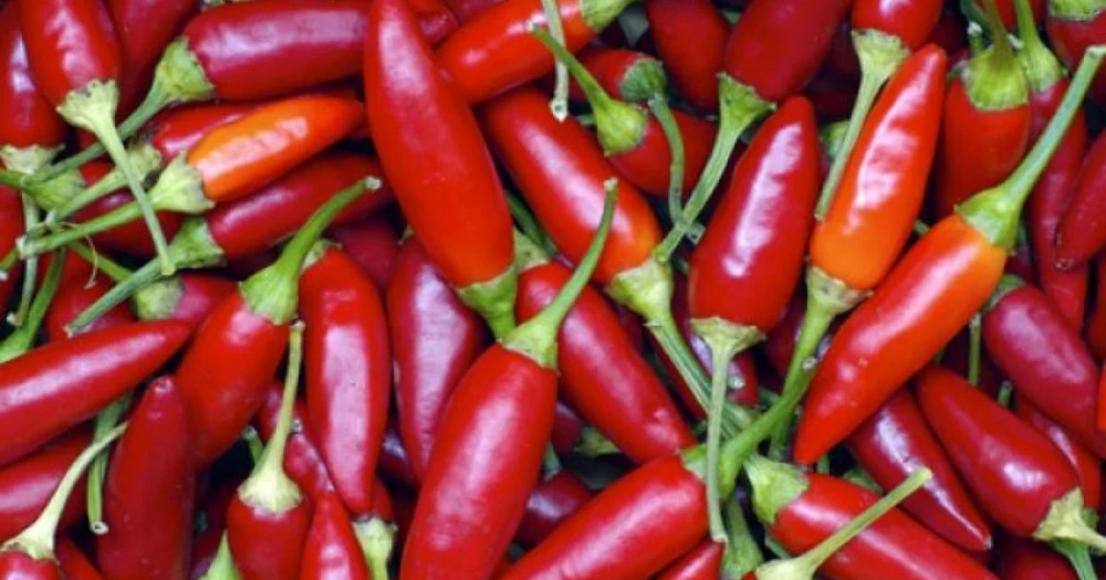 realitate-&-fictiune