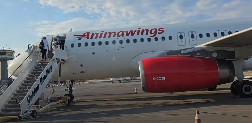 animawings-va-efectua-zboruri-intre-timisoara-si-dubai,-din-octombrie