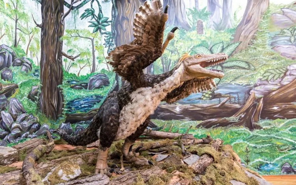 lumea-pierduta-a-dinozaurilor-pitici-din-romania.-descoperirile-care-i-au-uimit-pe-savanti