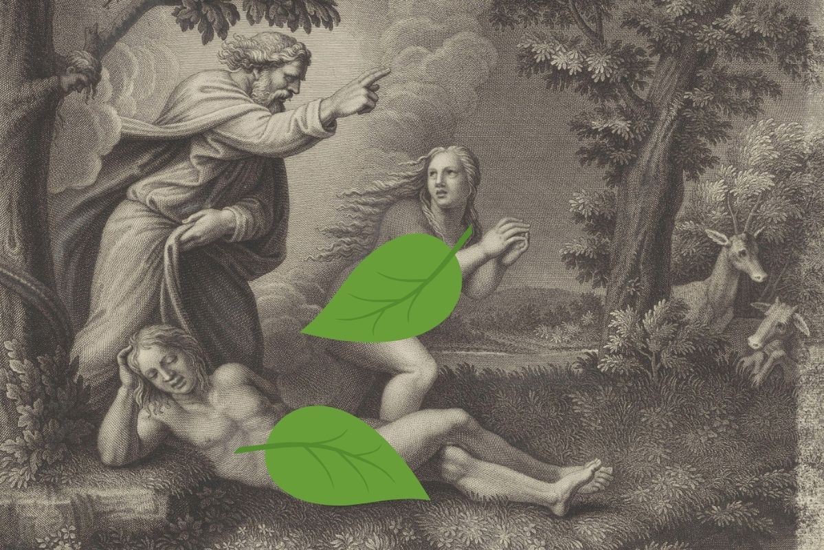 dovada-clara-ca-adam-si-eva-au-trait-a-fost-descoperita-de-cercetatori