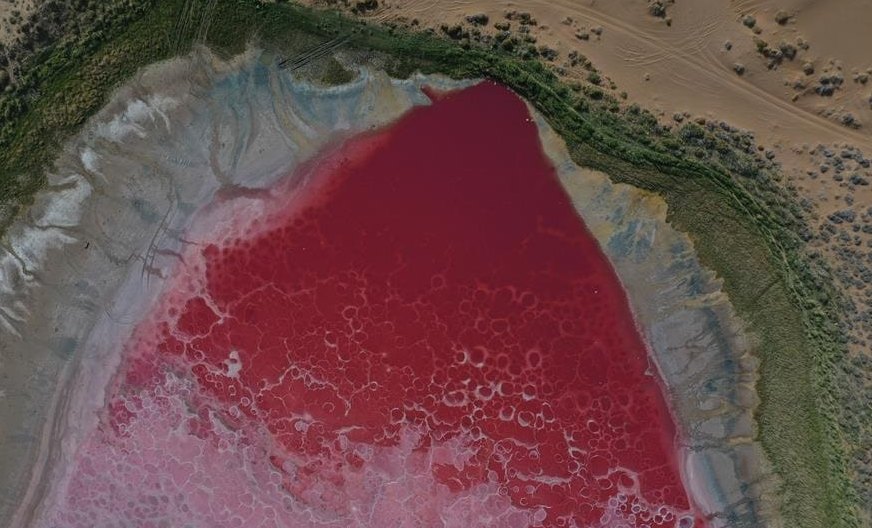 grupuri-uriase-de-turisti,-in-pelerinaj-la-un-lac-roz-din-desertul-badain-jaran-din-china