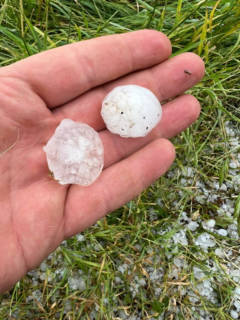 grindina,-furtunile-si-inghetul-au-provocat-daune-record-in-2025.-ce-spun-datele-agra-asigurari