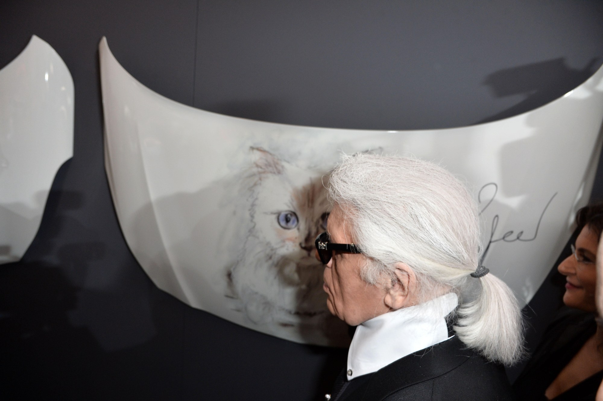 vila-de-vacanta-a-lui-karl-lagerfeld-din-regiunea-pariziana-a-fost-vanduta-cu-o-suma-fabuloasa