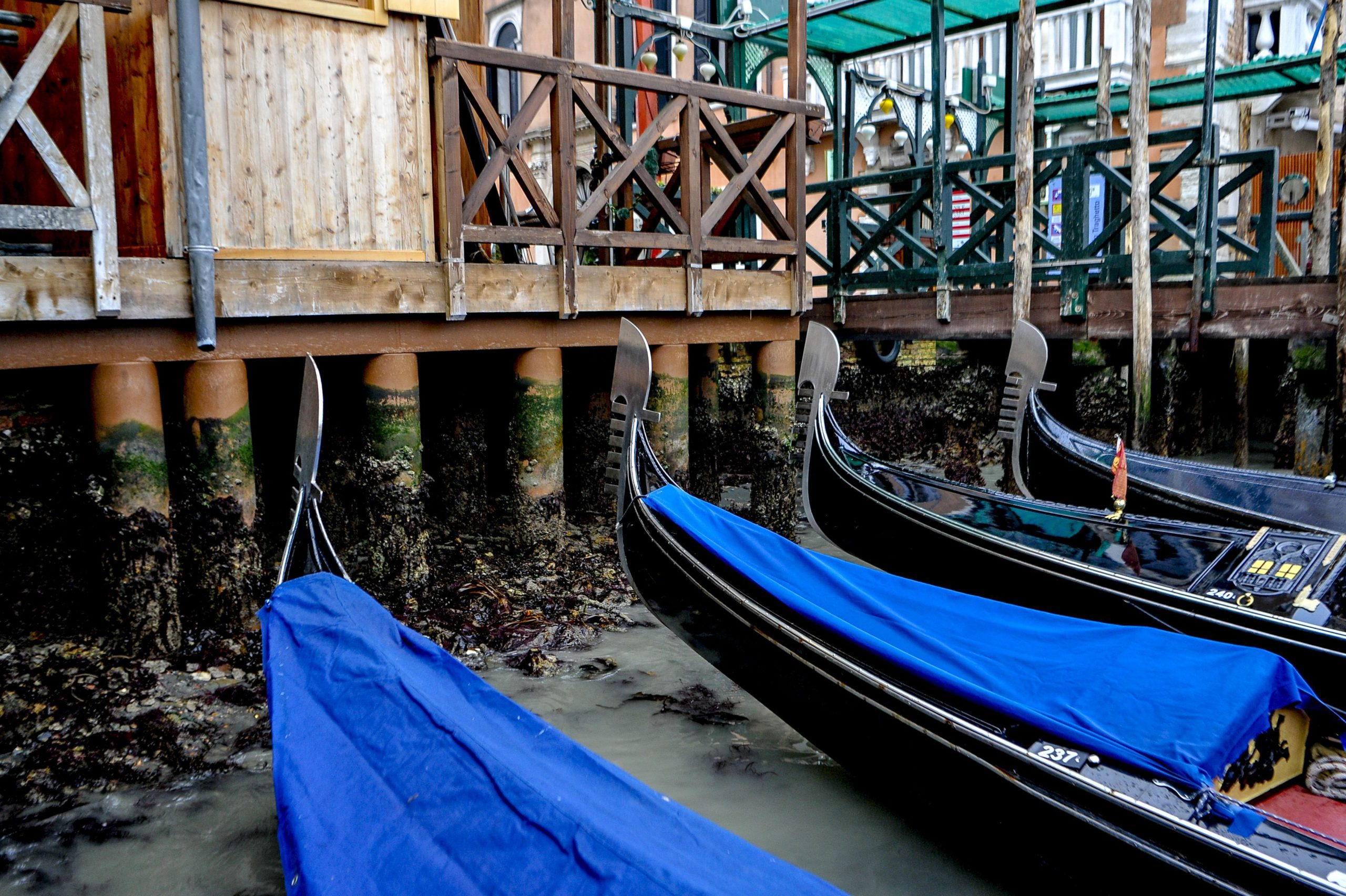 plimbare-ieftina-cu-gondola,-cea-mai-noua-atractie-pentru-turistii-din-venetia.-poate-costa-doar-2-euro,-in-loc-sa-platesti-intre-80-si-120-de-euro