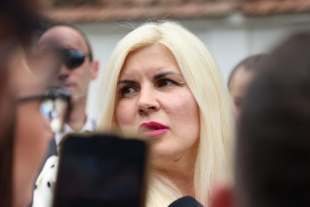 premonitia-elenei-udrea:-ccr-va-da-castig-de-cauza-guvernului.-inca-nu-e-vremea-sa-plece-bolojan