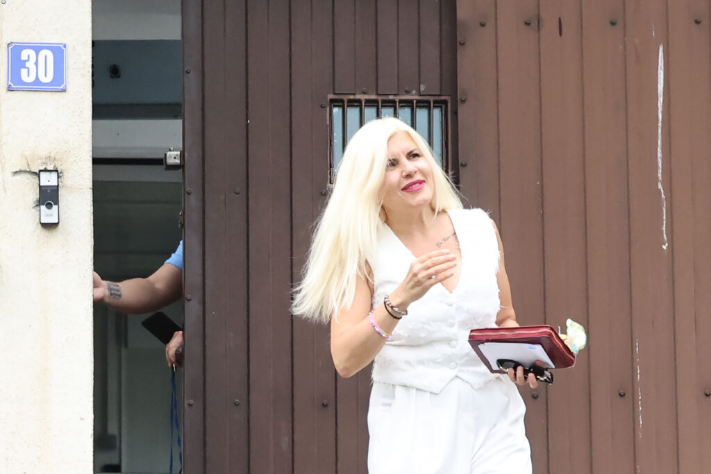 elena-udrea,-reactie-in-cazul-dianei-sosoaca:-e-un-precedent-periculos