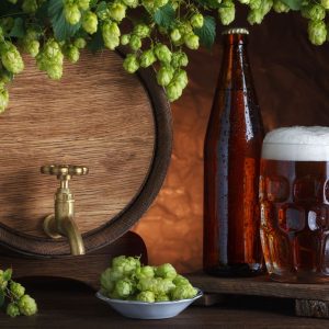 ce-mai-poti-face-cu-berea-utilizarea-berii-in-gospodarie