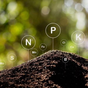 alegerea-formulei-nutritive-ideale-pentru-soluri-dificile