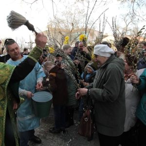 cand-pica-floriile-in-2026