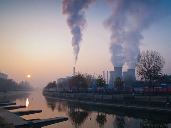 guvernul-a-decis-care-sunt-primele-companii-de-stat-care-intra-in-procesul-de-analiza-si-reforma.-e-vorba-de-17-societati,-printre-care:-tarom,-metrorex,-cfr-calatori-si-elcen