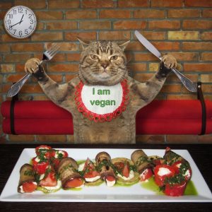 cat-de-sanatoasa-este-o-dieta-vegana-pentru-pisici