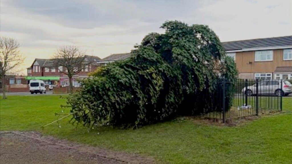 arestati-dupa-ce-au-taiat-bradul-de-craciun-al-comunitatii