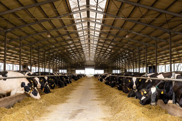 dn-agrar-group,-cel-mai-mare-producator-de-lapte-din-romania,-deschide-noua-unitate-din-ferma-lacto-agras-si-se-pregateste-de-listarea-pe-piata-principala-a-bvb