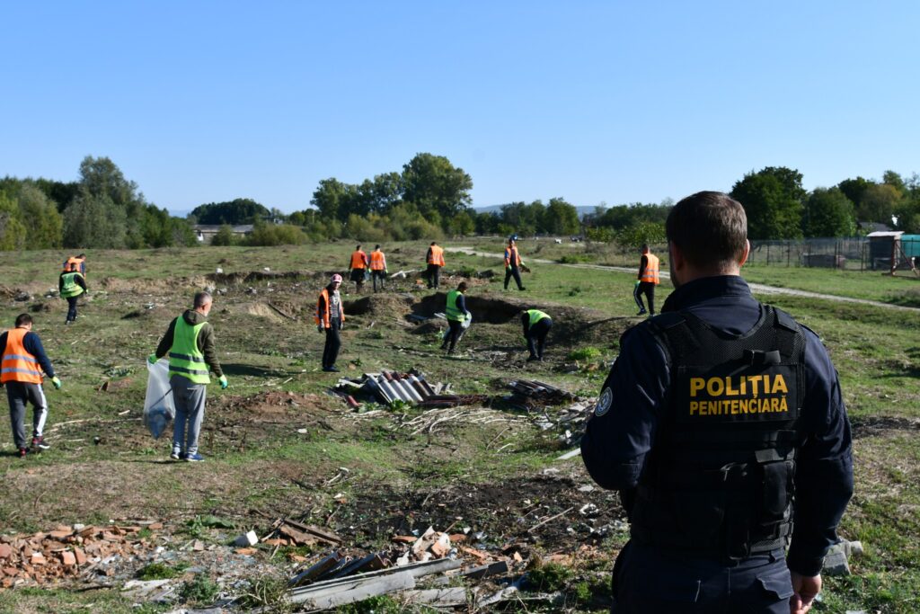 cat-costa-pe-ora-un-ajutor-in-gospodarie,-de-la-spart-lemne-si-curatat-terenuri-pana-la-construirea-de-foisoare-si-mobilier-din-lemn