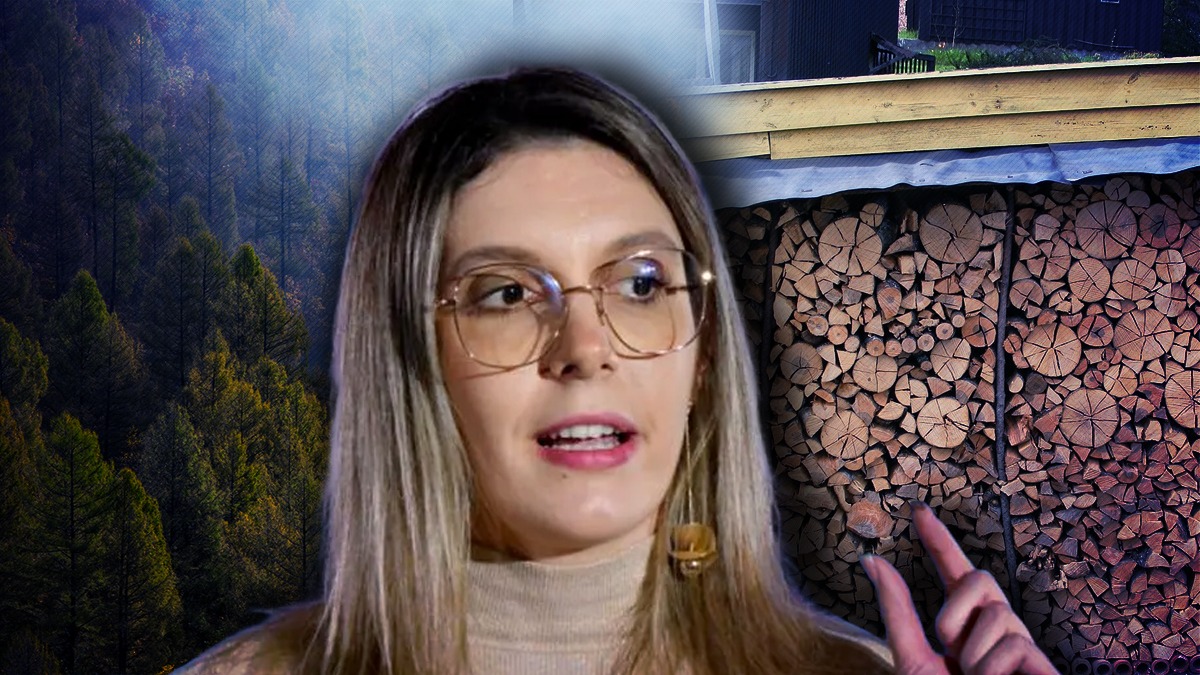 ministrul-diana-buzoianu-anunta-ca-marcarea-lemnului-de-taiat,-din-paduri,-nu-se-mai-face-cu-ciocanul:-reprezinta-un-sistem-arhaic