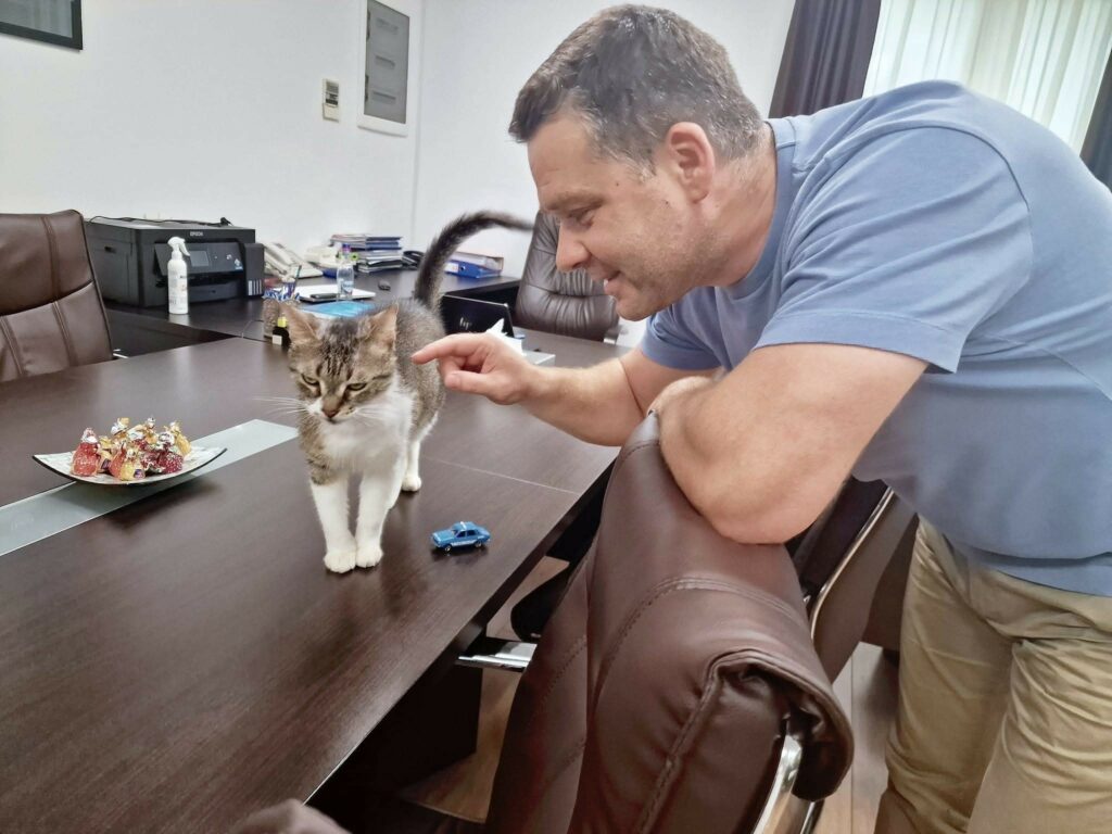 ciucu-vrea-o-mata-si-la-primaria-capitalei:-iubesc-pisicile,-dar-trebuie-sa-fie-in-siguranta