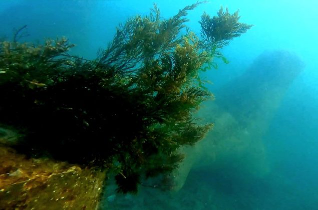 atacuri-aeriene-ruse-provoaca-poluare-cu-ulei-vegetal-in-marea-neagra,-acuza-ucraina