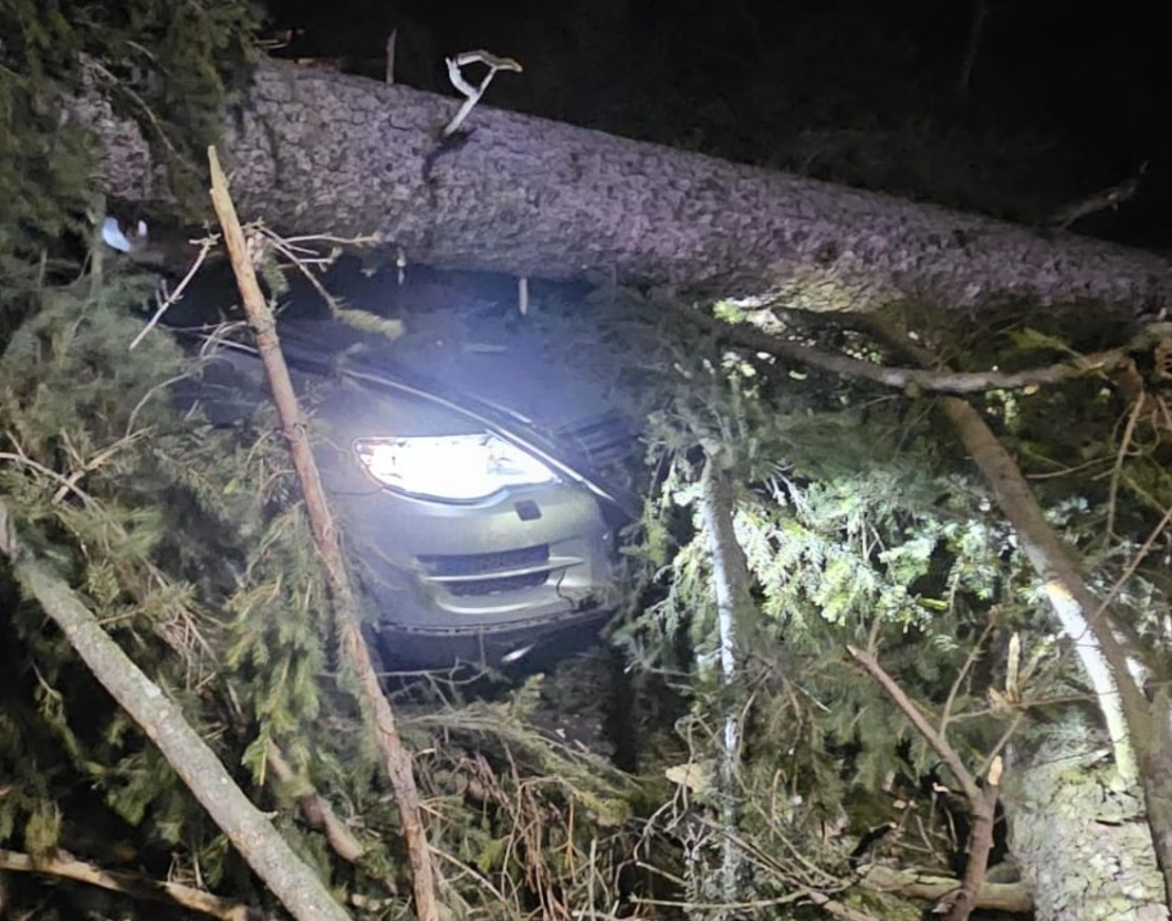 furtuna-a-facut-prapad-la-sinaia:-un-copac-a-cazut-peste-o-masina-cu-trei-persoane