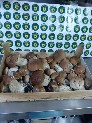 romsilva-a-obtinut-34-de-milioane-de-lei-in-primele-11-luni-din-valorificarea-vanatului,-produselor-nelemnoase-si-salmonicultura