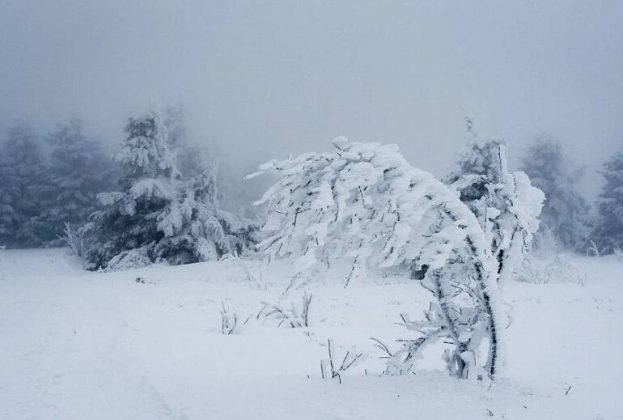 cod-rosu-de-viscol-si-ninsoare-in-romania.-care-sunt-zonele-afectate-harta