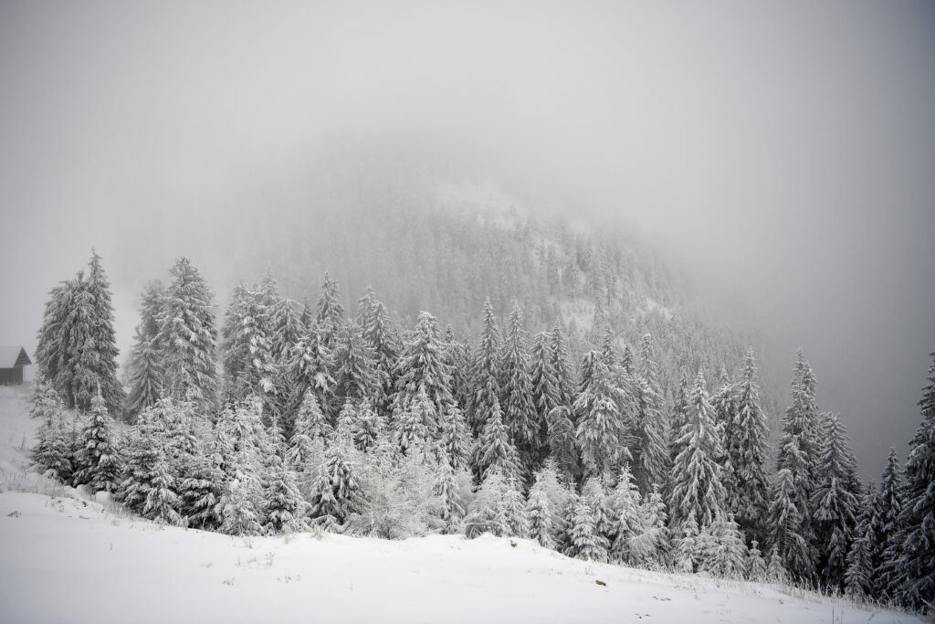 the-peak-of-the-frost-has-not-yet-come:-meteorologists-announce-minimums-of-up-to-20c-in-romania