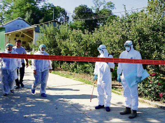 cat-de-tare-a-lovit-anul-trecut-pesta-porcina-africana.-romania-se-confrunta-cu-o-dublare-a-numaruui-de-focare-la-porcii-domestici