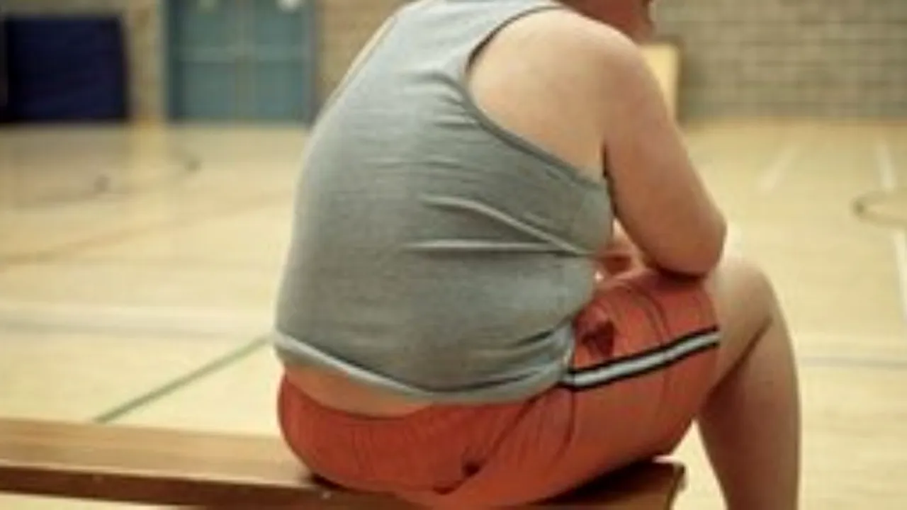 obiceiurile-alimentare-nesanatoase-in-randul-tinerilor,-motiv-de-preocupare-in-belgia