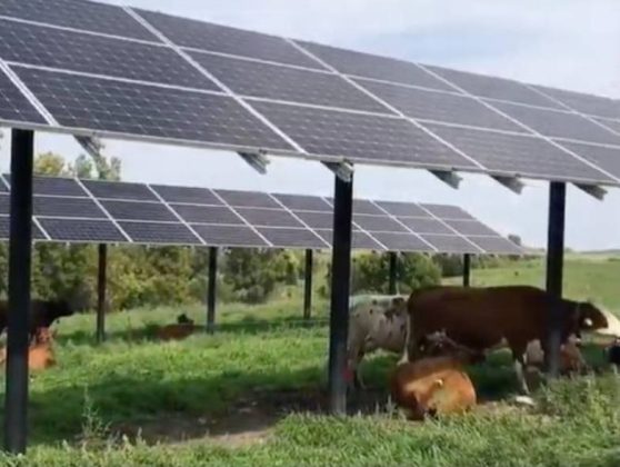 se-va-apropia-romania-de-pragul-de-10.000-mw-de-fotovoltaice-la-finalul-lui-2026?-ce-spun-ultimele-prognoze