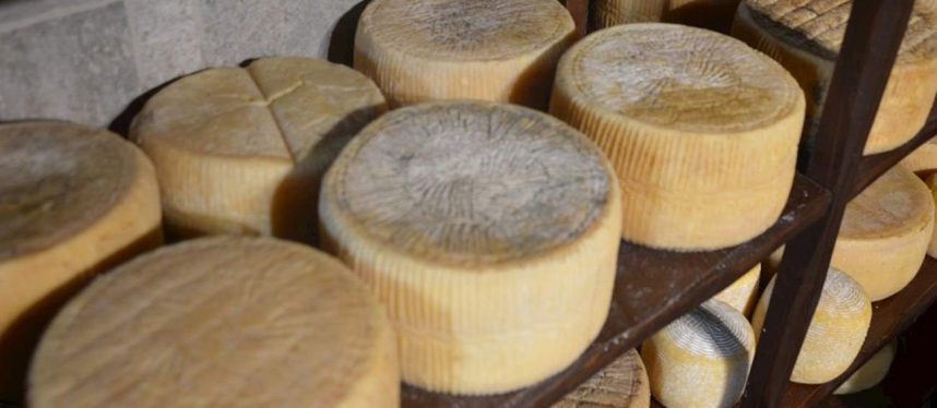 cele-mai-bune-100-de-branzeturi-din-lume-una-este-din-romania.-cine-o-produce