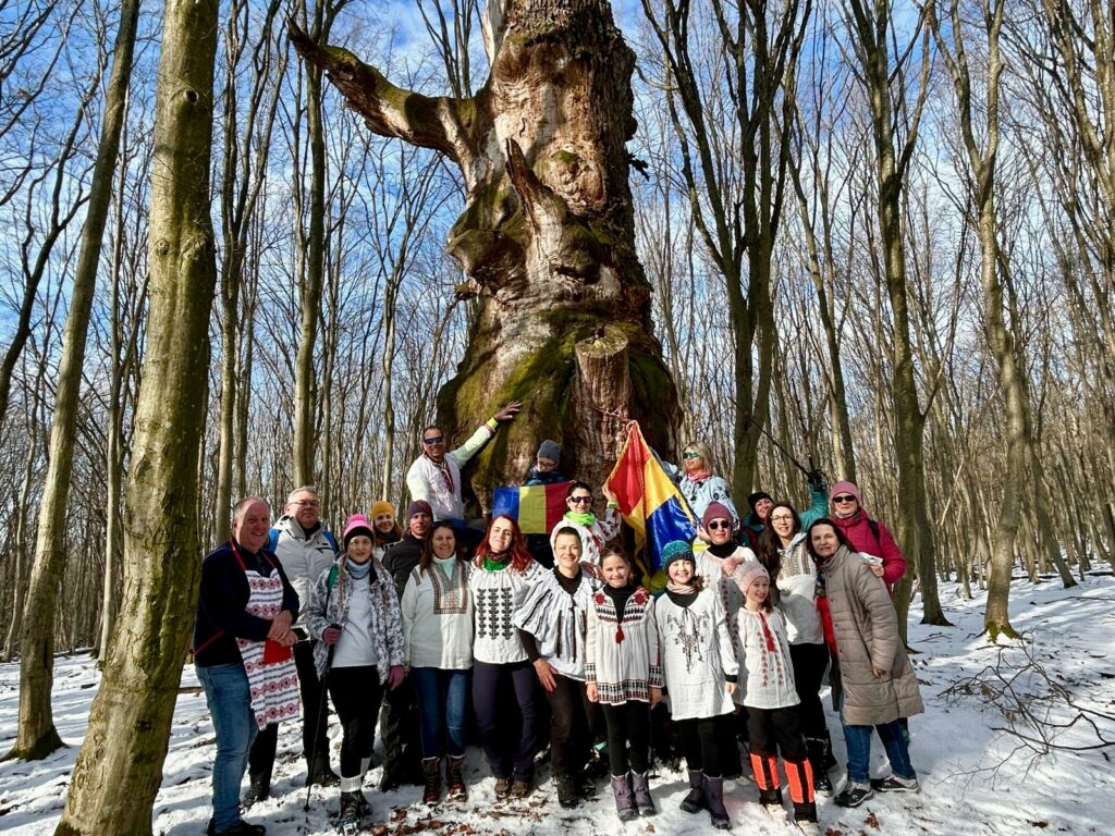 mica-unire,-marcata-prin-hora-unirii-la-un-stejar-vechi-de-700-de-ani,-in-judetul-sibiu
