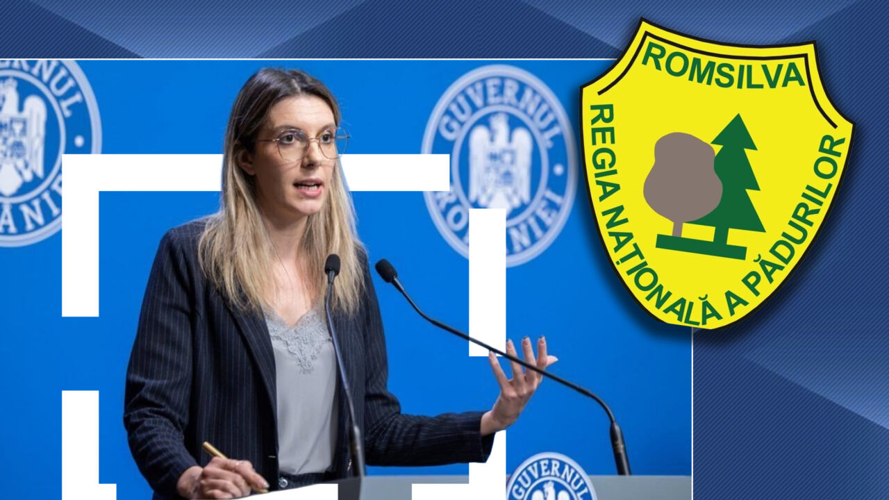diana-buzoianu-cauta-sef-la-romsilva.-care-este-salariul-pe-care-il-va-primi