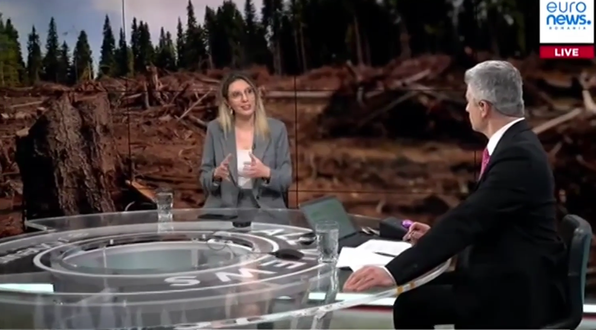 diana-buzoianu-povesteste-cum-se-poate-pacali-sistemul-sumal-de-catre-hotii-de-lemne-din-romania