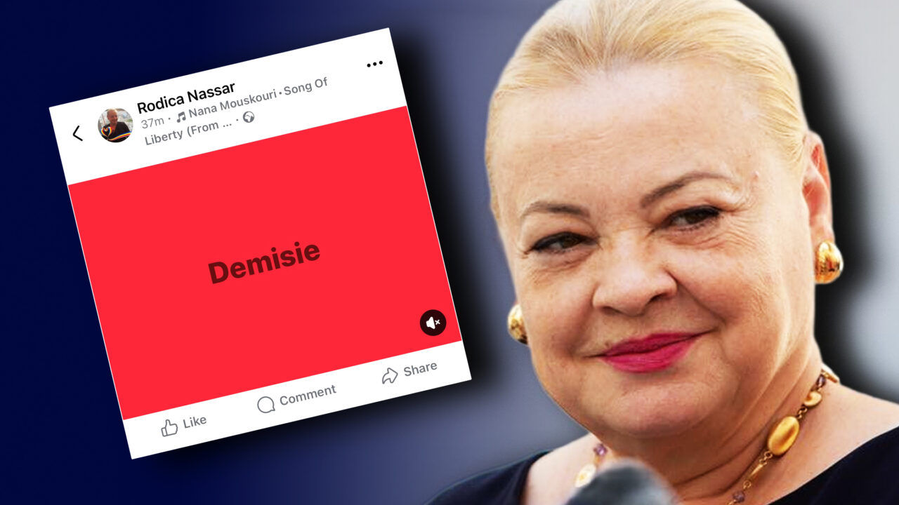 rodica-nassar-si-a-dat-demisia-de-la-sefia-psd-sector-2.-rares-hopinca-preia-interimar-organizatia