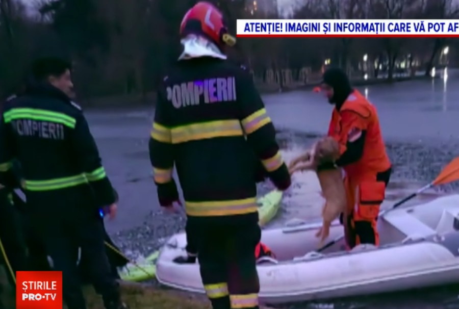 un-barbat-din-bucuresti-si-a-riscat-viata-pentru-a-si-salva-cainele,-cazut-in-ior.-nu-a-mai-putut-iesi-din-apa-rece