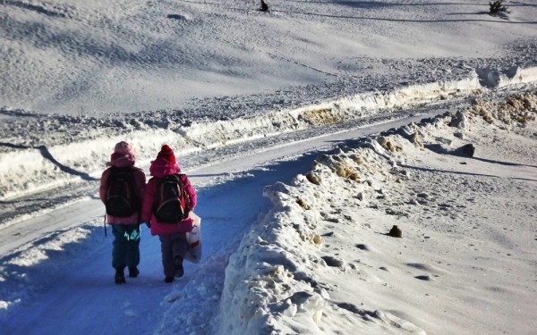 anm:-vreme-deosebit-de-rece,-polei-si-ninsoare-viscolita-in-toata-tara-pana-miercuri-dimineata.-cod-galben-de-ger-pentru-sase-judete-din-moldova-incepand-de-sambata