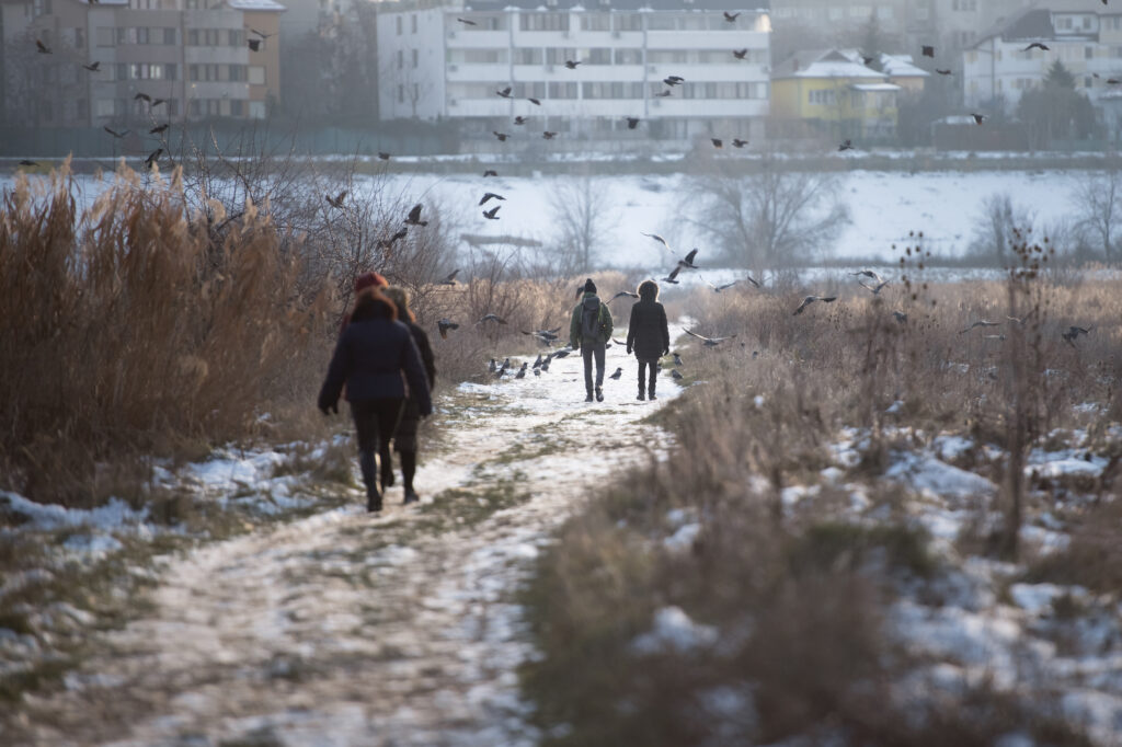 Prognoza meteo pentru următoarele patru săptămâni începând cu martie