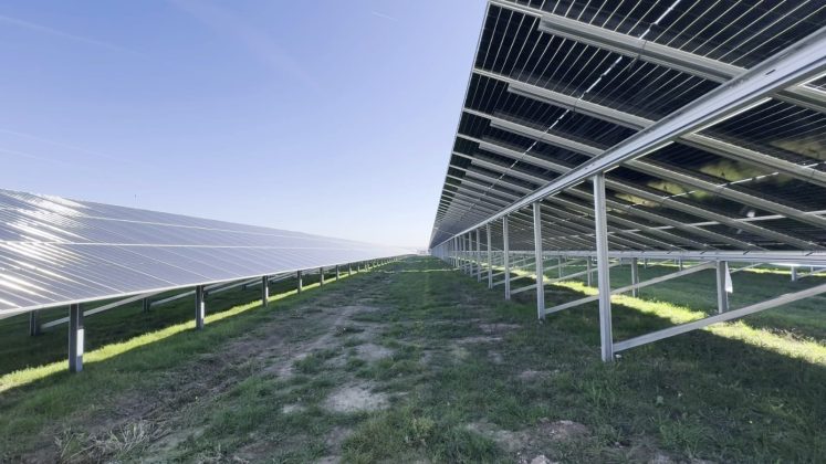 Ingka (IKEA) a investit 83 milioane euro în parcul fotovoltaic Butimanu de 300 MWp
