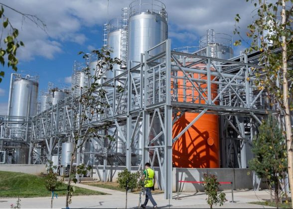 Procter & Gamble a investit peste 180 milioane de lei în România