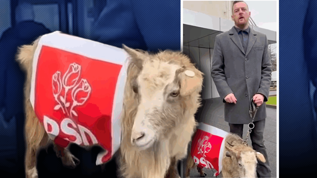 Deputat AUR a participat la protest cu capră haine PSD și a afirmat că au dat foc țării