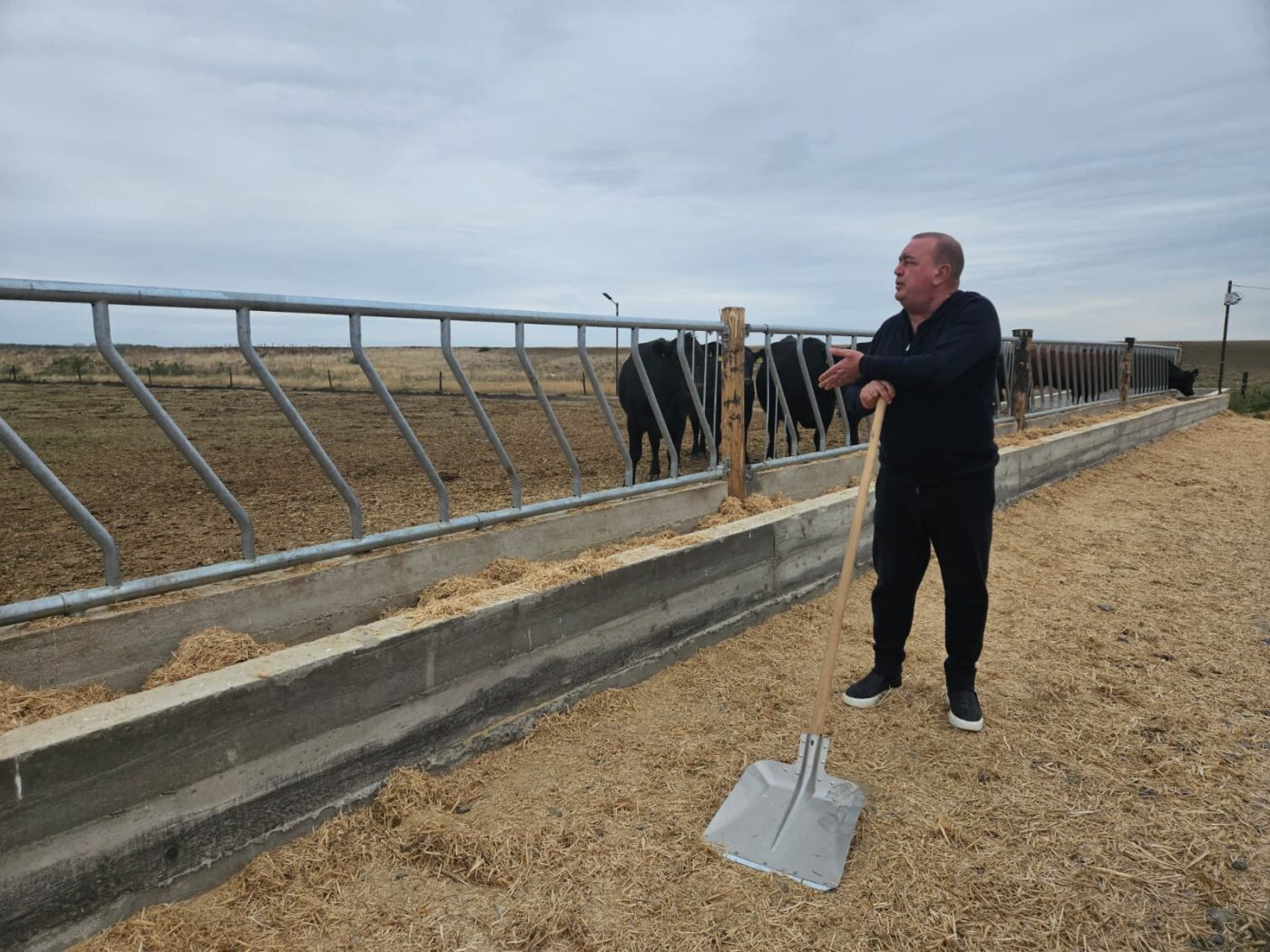 Gigi Nețoiu cere sprijin pentru afacerea cu vaci Angus de 6 milioane euro