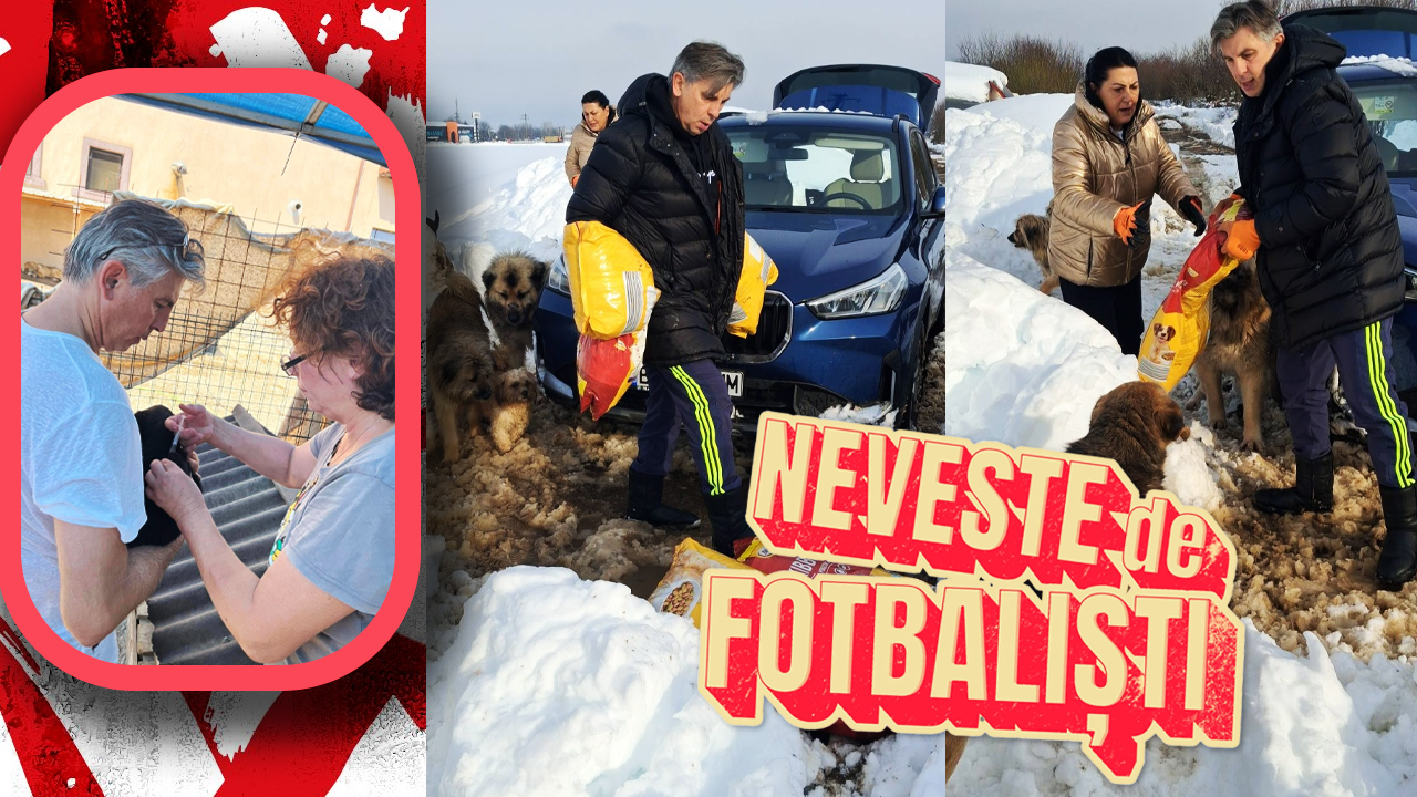 Flori și Ionuț Lupescu participă la activități cu câinii străzii în Ștefan cel Mare