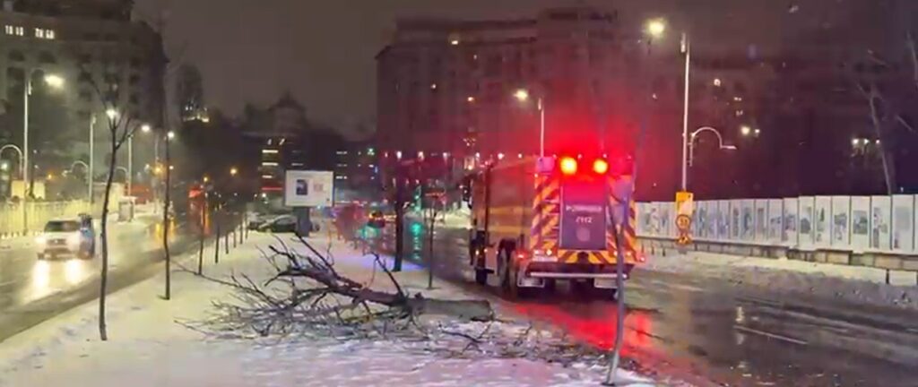 Cod galben de ninsori și viscol; copaci căzuți în București, drumuri închise în Ialomița