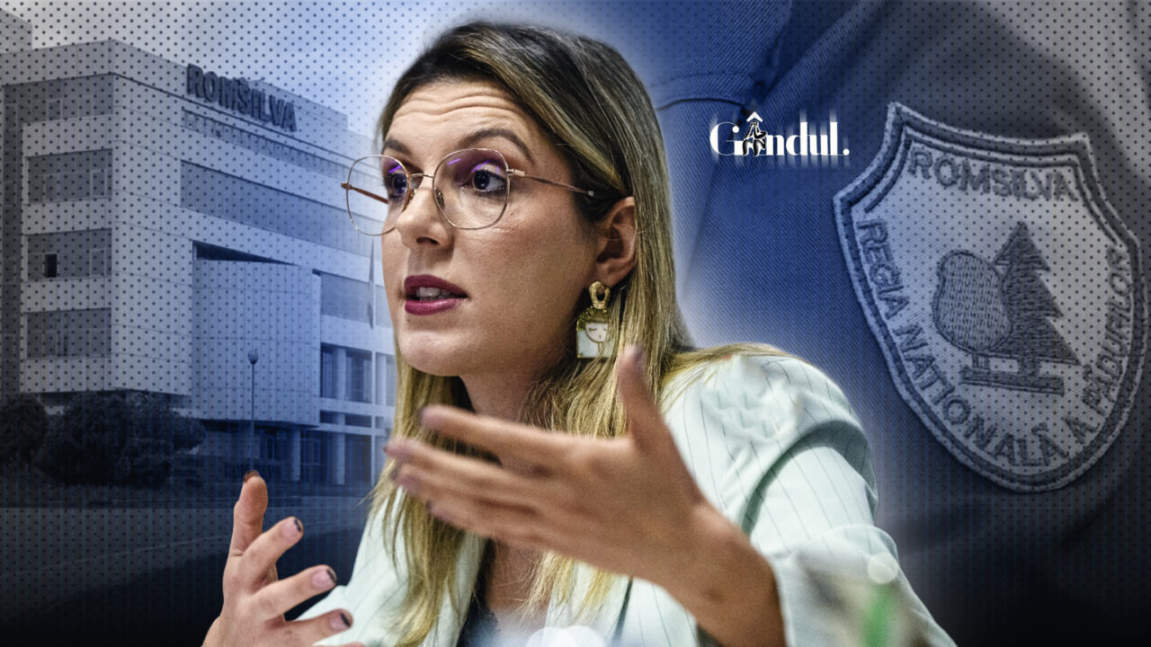 Guvernul aprobă reorganizarea Romsilva și reducerea direcțiilor silvice