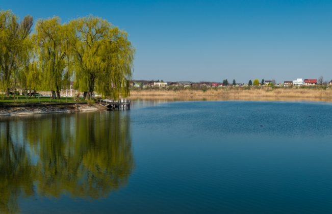 Primăria Sectorului 1 poate cumpăra imobile pentru proiectul Promenada Verde