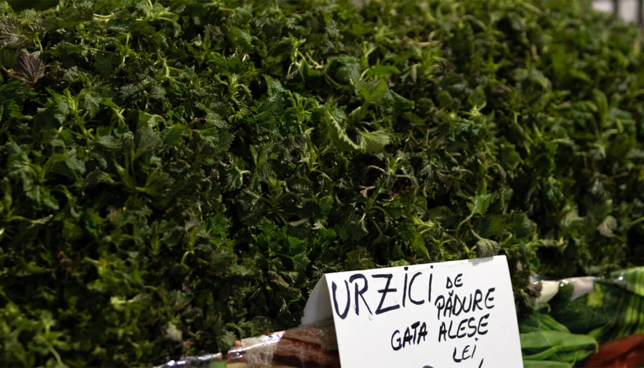 preturile-din-piete-lovesc-in-postul-pastelui.-cat-a-ajuns-sa-coste-un-kilogram-de-urzici-direct-de-la-producatori
