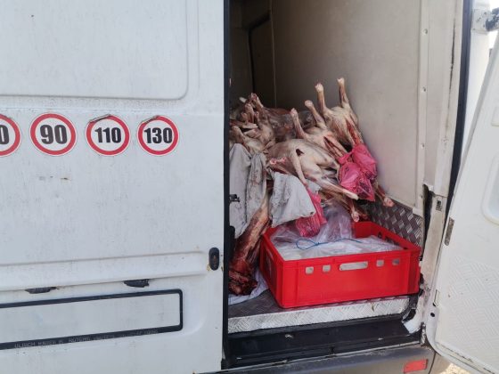 Prețul cărnii de miel la poarta fermei s-a triplat față de anul trecut