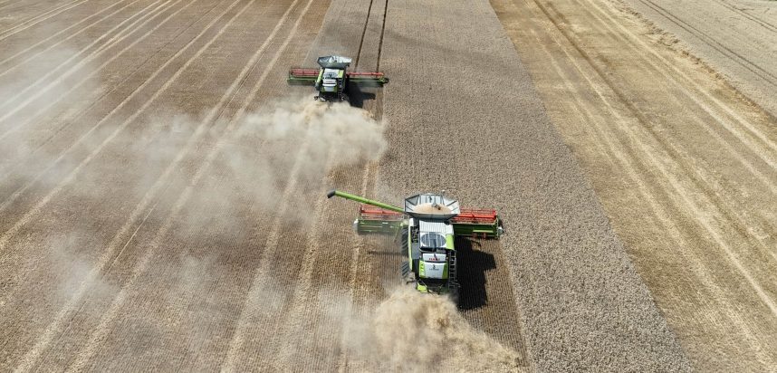 danezii-de-la-firstfarms-a/s-vor-sa-iasa-din-nou-la-cumparaturi-de-teren-in-romania-exploateaza-deja-peste-7.000-de-hectare