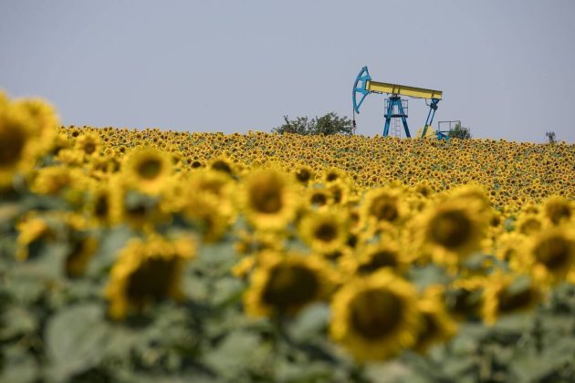 Guvernul introduce taxe noi pe companiile petroliere pentru fondul de solidaritate